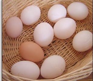 Основи здраве исхране: нутритивна вредност јаја